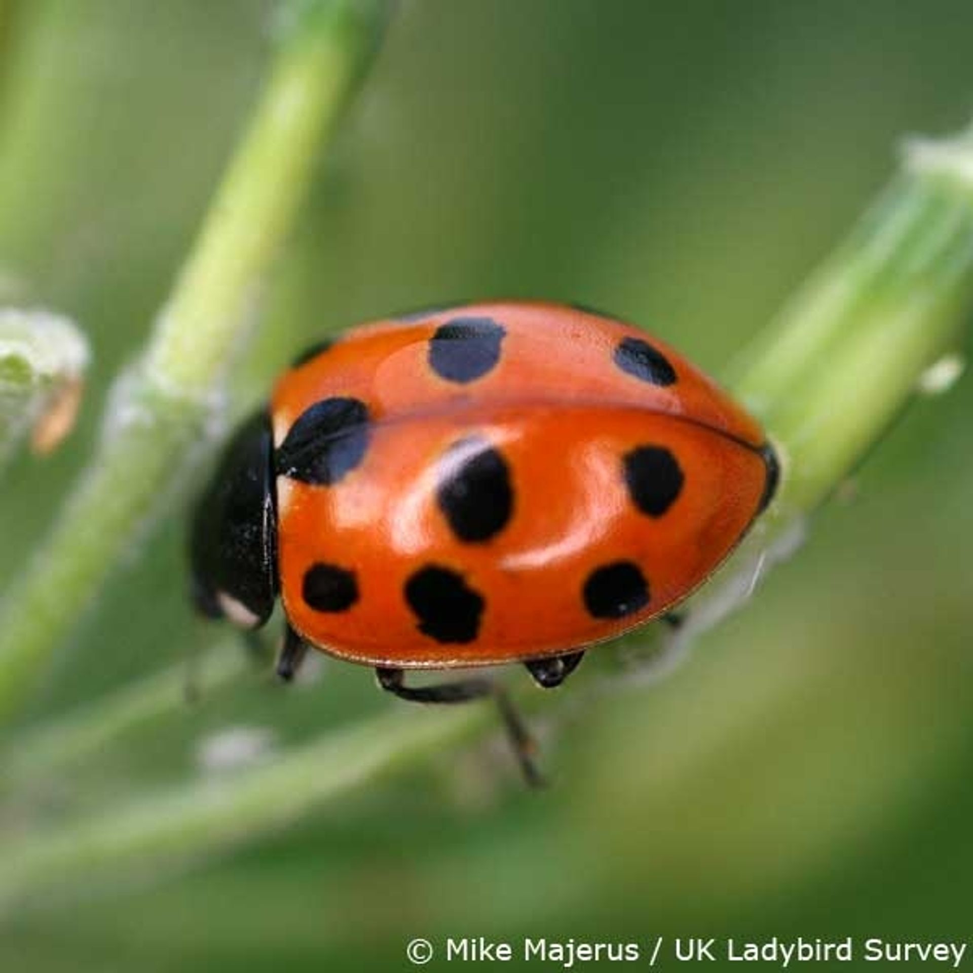 post_أبو العيد ذو النقاط الإحدى عشرة