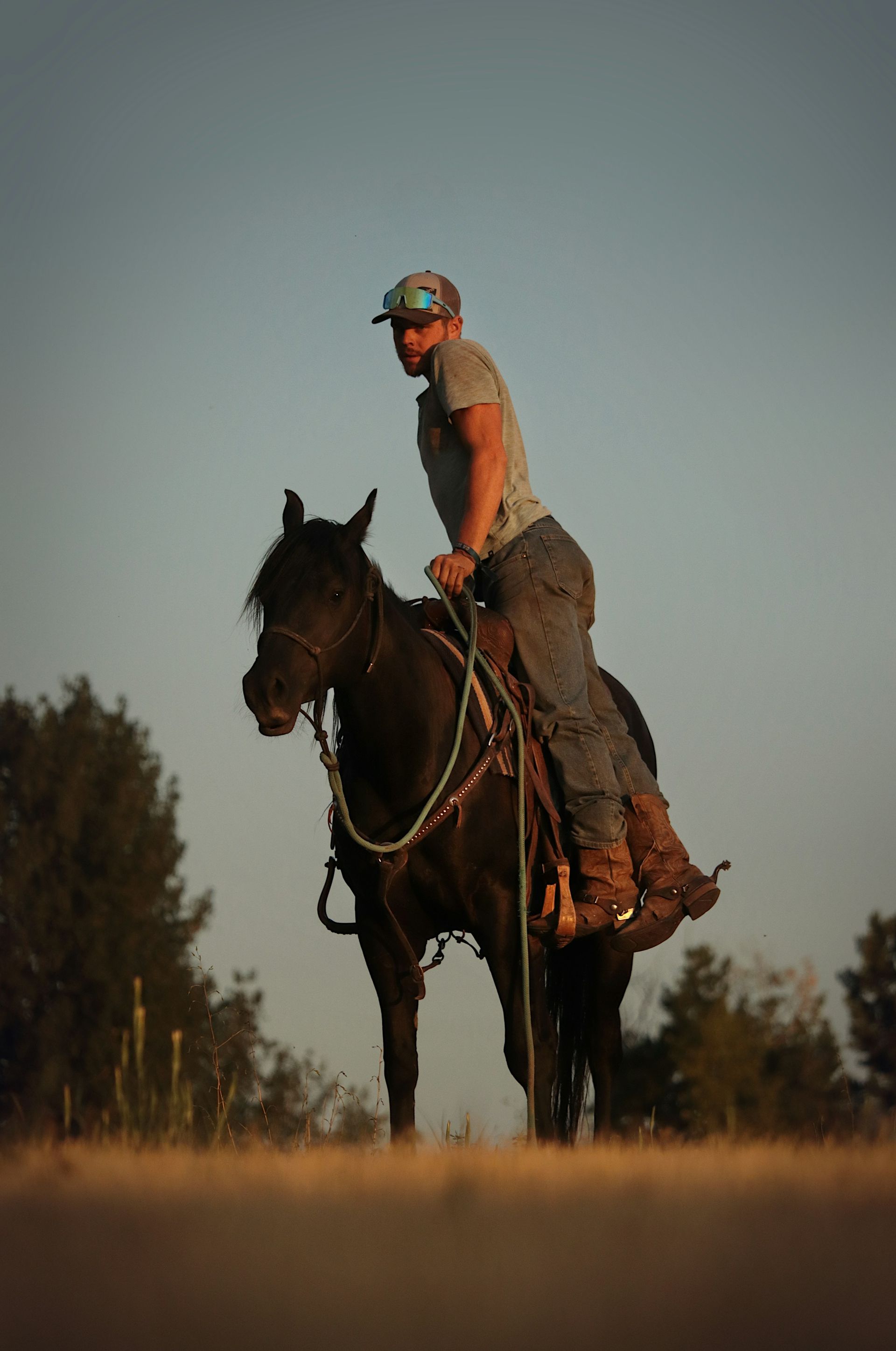 لا تتخذوا ظهورها... منابر!